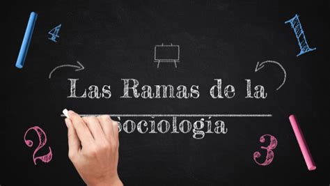 Ramas De La Sociología