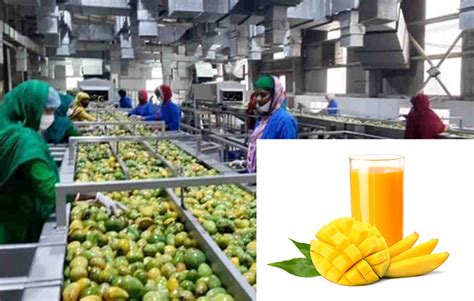 What Is Industrial Processing Of Mango Juice