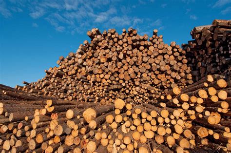 timber trailwwwwoodandpanelus