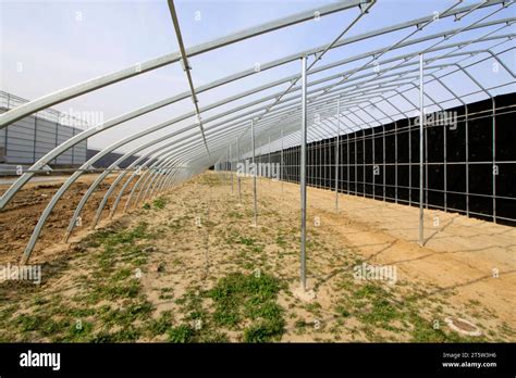 Steel frame for greenhouse Stock Photo - Alamy