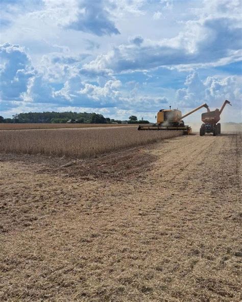 Colheita Da Soja Supera Milh Es De Hectares Em Ms Jornal O Precursor