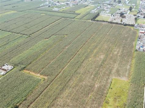 Venta Lote De Terreno En Villas Del Campo Calimaya A Icasas Mx