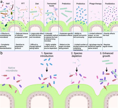 Constituents And Mechanisms Of Microbiome Based Interventions A Common