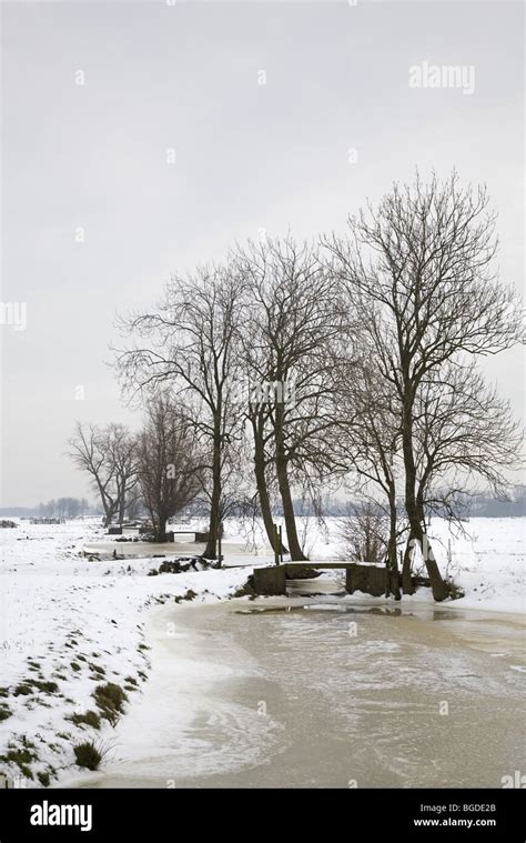 Landscape Of A Dutch Polder Covered With Snow Alblasserwaard South