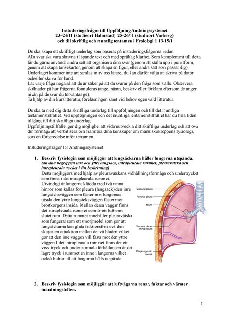Instuderingsfr Gor Andningssystemet Instuderingsfr Gor Till