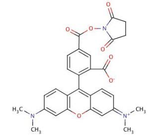 Carboxy Tetramethylrhodamine N Succinimidyl Ester Cas