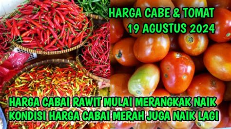 Harga Cabai Merah Hari Ini Agustus Info Harga Tomat Dan