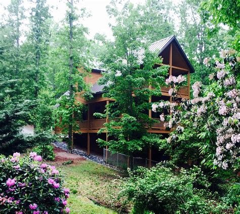 Brevard NC Cabins | Dog friendly vacation, Nc cabin rentals, Nc cabin