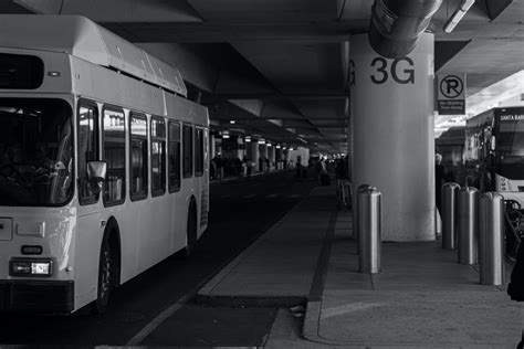 Buses at the Airport · Free Stock Photo