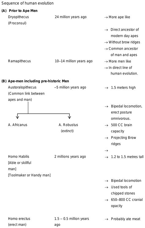 Q Identify The Correct Sequence Of Human Evolution A