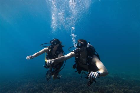 Buceo Foto Monchitime