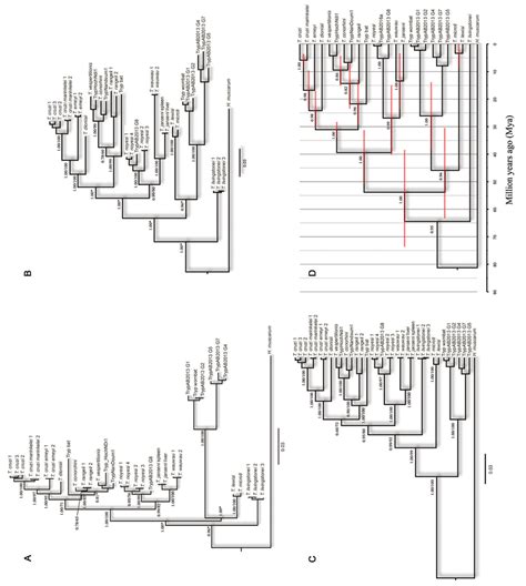 Phylogenetic Reconstructions Based On Bayesian Inferences Bi And