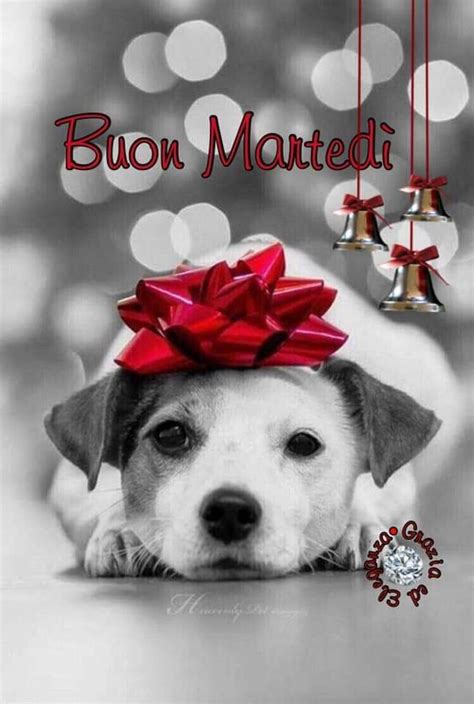 Buongiorno Buon Martedi Di Natale