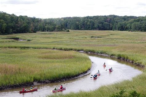 York River State Park | GoWilliamsburg.com