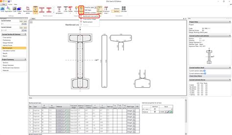 Import Export Cross Section Reinforcement And Tendons In RCS IDEA