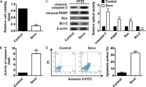 Figure From Activation Of Mitochondria Apoptotic Pathway Is Involved