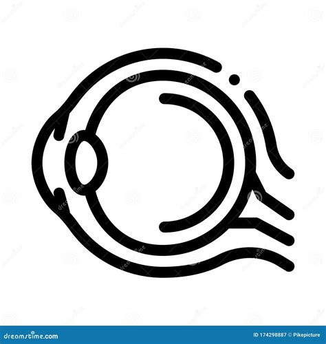 Human Eyeball Anatomy Organ Icon Thin Line Vector Stock Vector