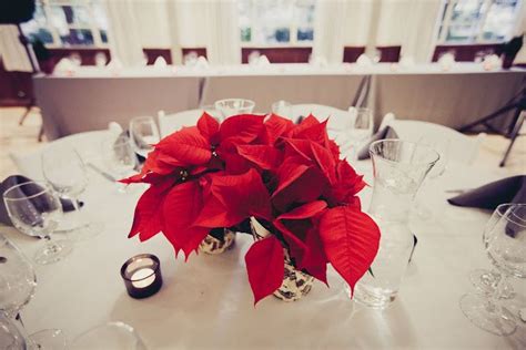 Guest Table Centerpiece Can Be Poinsettia Each Table Guest Table