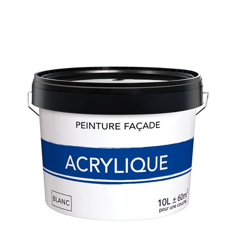 Peinture extérieure façade blanc mat 10l Leroy Merlin