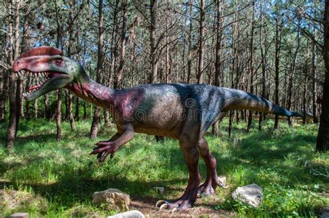 R Plica Do Dinossauro Em Dino Park Em Portugal No Tamanho Real Foto