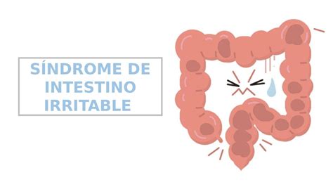 Resúmenes De Síndrome Del Intestino Irritable Descarga Apuntes De