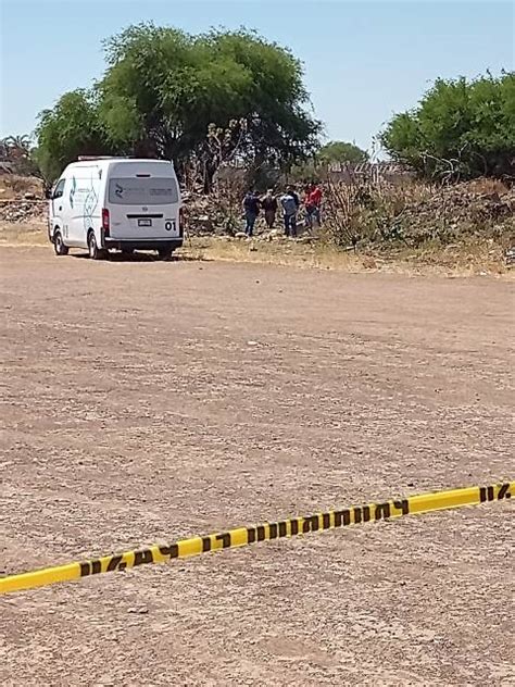 En Aguascalientes Hallaron A Hombre Muerto Putrefacto Y Devorado Por