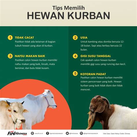 Infografis Tips Memilih Hewan Kurban Indopolitika