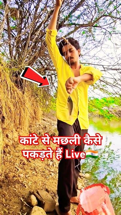 कांटे से मछली कैसे पकड़ते हैंfishing Catching Fish Netfish Machali