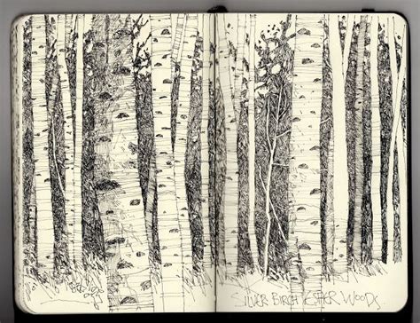 Ian Sidaway Fine Line Silver Birch Moleskine Art Sketch Book Art