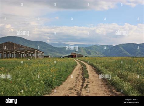 The nature in Kazakhstan, steppe Stock Photo - Alamy