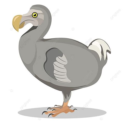 Image D Illustration Vectorielle Ou Couleur Dodo Png Dodo Lourd