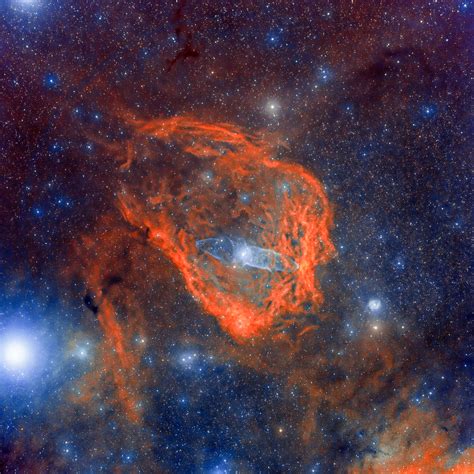 The Flying Bat Nebula And The Squid Nebula Sh2 129 And Ou4 Telescope Live