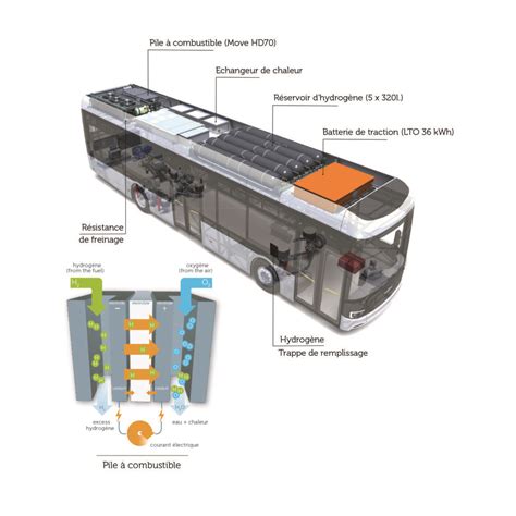 Tout savoir sur le nouveau bus hydrogène dOptymo