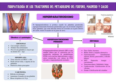 Transtornos del metabolismo del fósforo magnesio y calcio VertexMed