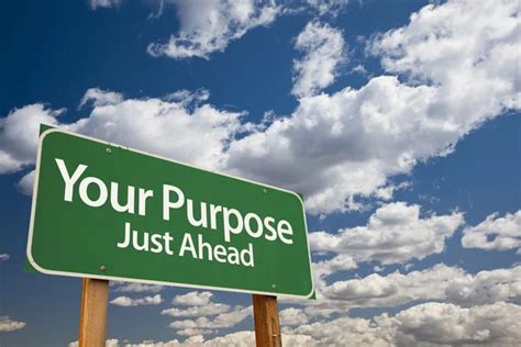 Purpose Stock Photos Royalty Free Purpose Images Depositphotos®