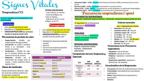 Signos Vitales Del Adulto Franco Penailillo Udocz Nbkomputer