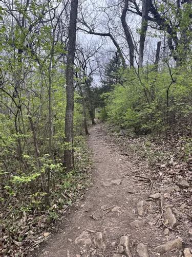 Best Short Trails In Shawnee Mission Park Alltrails