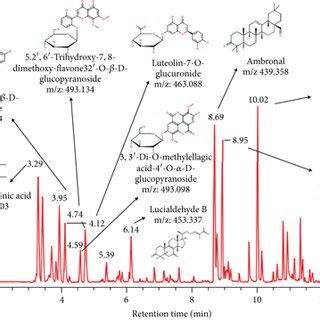 LC MS MS Profile And Predicted Compounds Of The Ethanol Clove Leaf