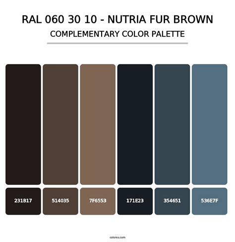 RAL 060 30 10 - Nutria Fur Brown color palettes - colorxs.com