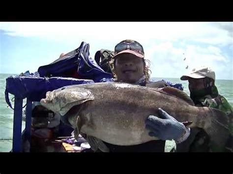 Mancing Monster Kerapu Kg Part Youtube