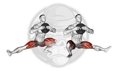 Adductor Muscle Stretches