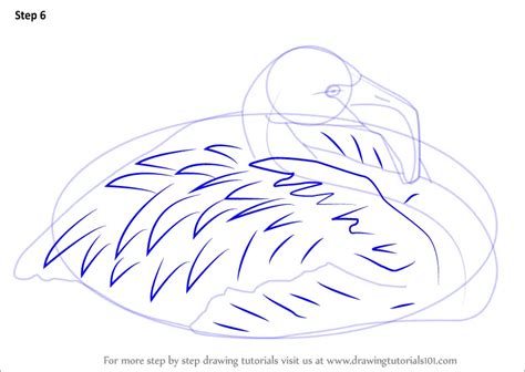 How To Draw A Pink Flamingo Birds Step By Step Drawingtutorials