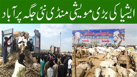 New Maweshi Mandi Northern Bypass Cow Mandi Catle Mandi Maweshi