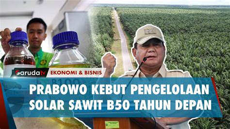 Prabowo Terus Percepat Pengembangan Solar Ramah Lingkungan YouTube