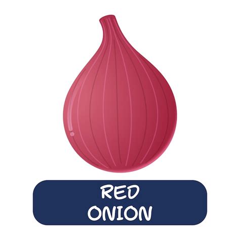 Premium Vector Cartoon Red Onion Vegetables Vector Isolated On White