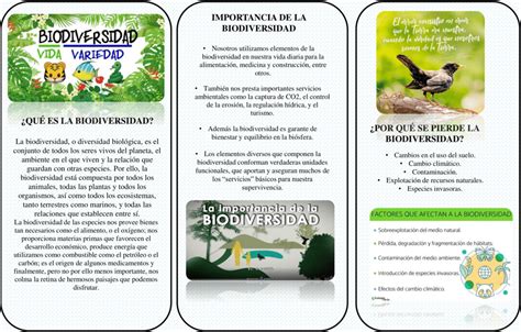 Ciencias Naturales Triptico De Biodiversidad Images