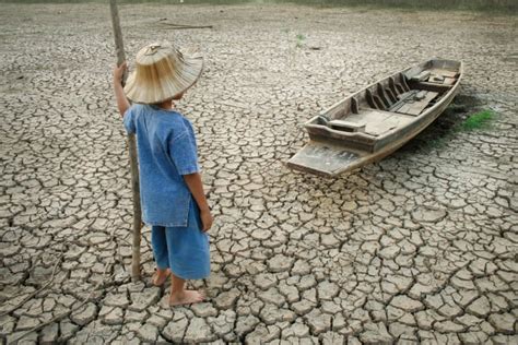 Dampak Pemanasan Global Pada Kesehatan Lingkungan Dan Manusia