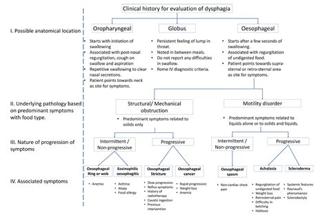 Keith Siau On Twitter Investigation And Management Of Dysphagia