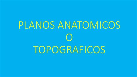 Planos Anatomicos Veterinarios Estudiantes Pptx