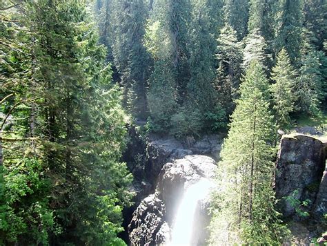 elk falls suspension bridge (13) | Gohiking.ca